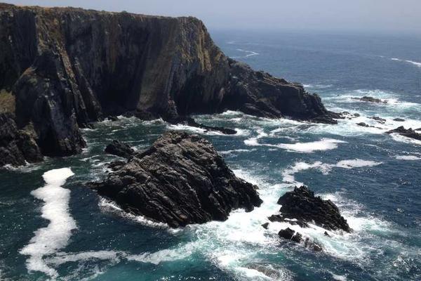 Customer Support Chatbot